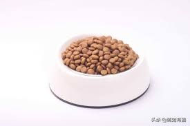 猫咪体重跟吃的猫粮计算,猫猫每日食谱大全