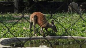 儿童节去儿童乐园,儿童节去公园玩