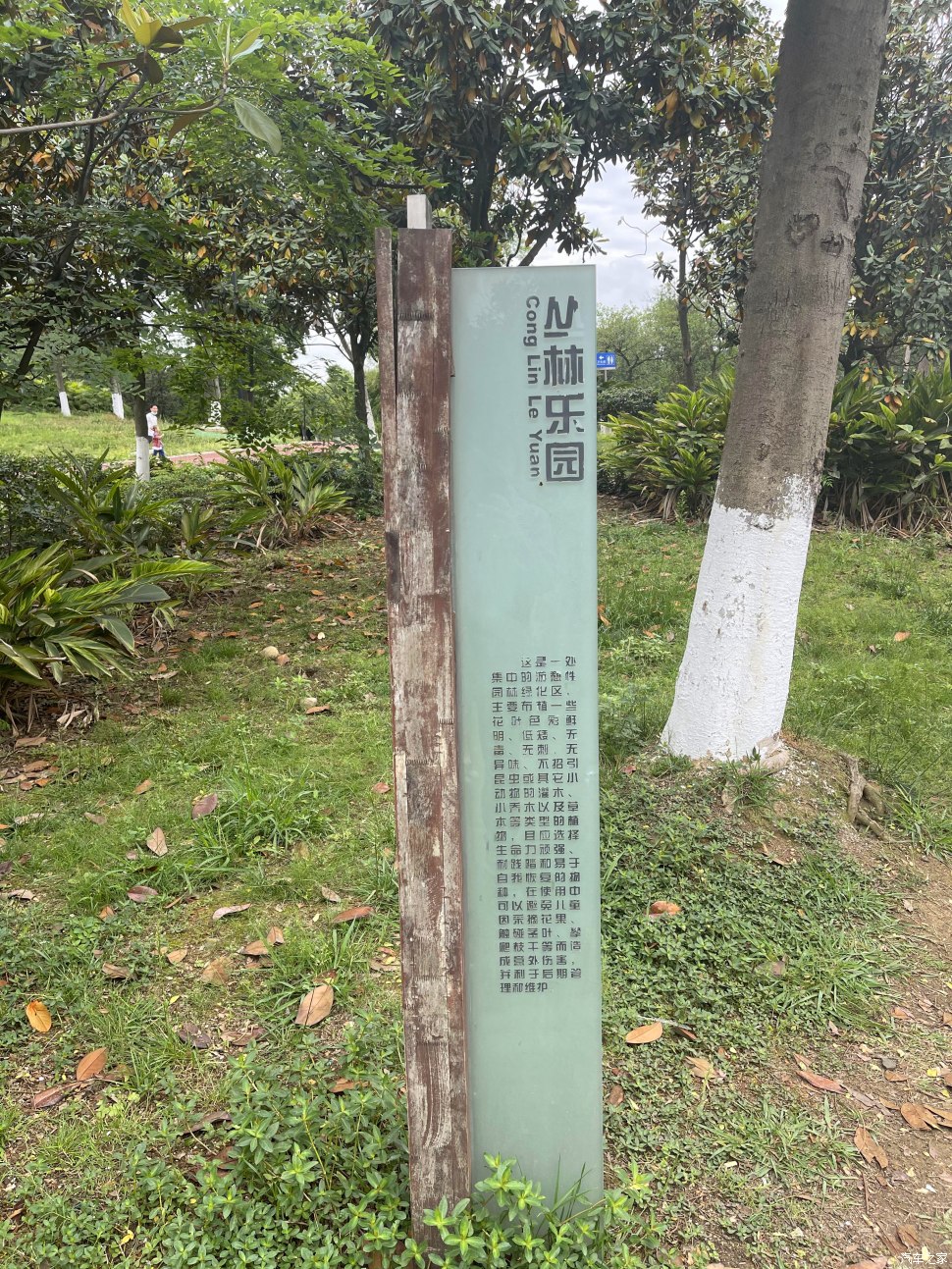 成都凤凰山公园可以爬山吗,成都凤凰山公园有什么好玩的