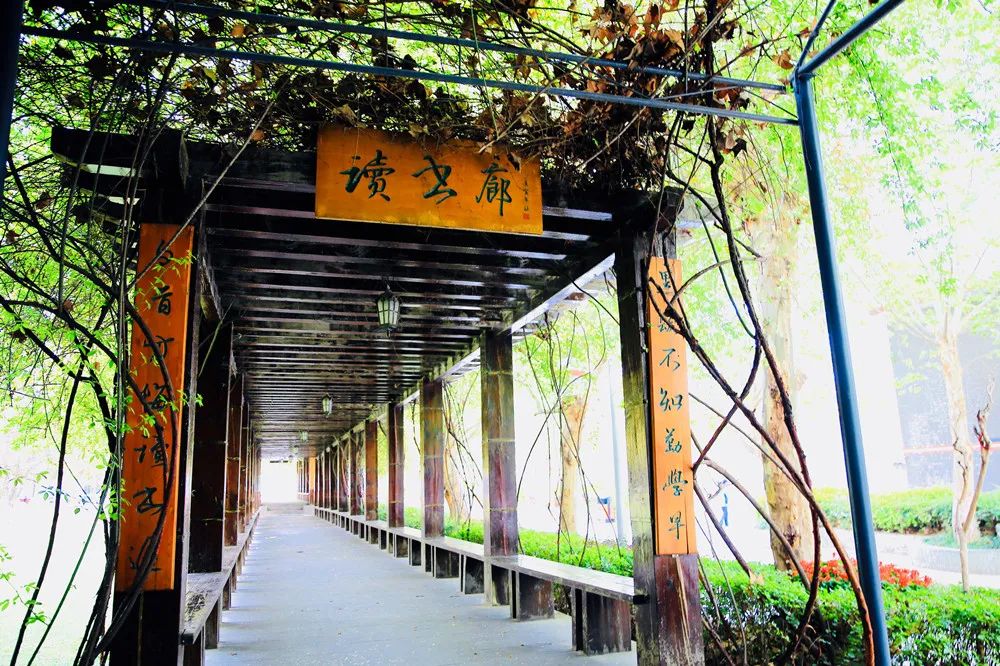 没有实验班，控制作业量！师大一中的出口成绩却一直硬核