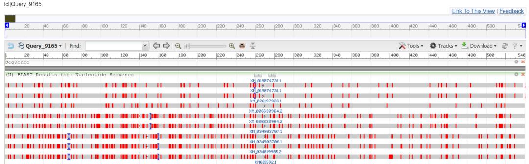 序列数据库和序列对比工具,序列同源性分析软件