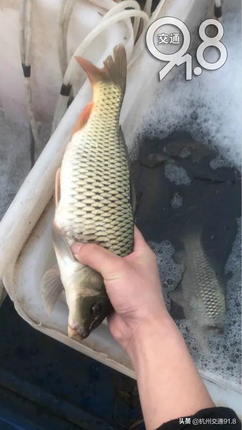 杭州两男子深夜到江边打架,杭州两男子划船