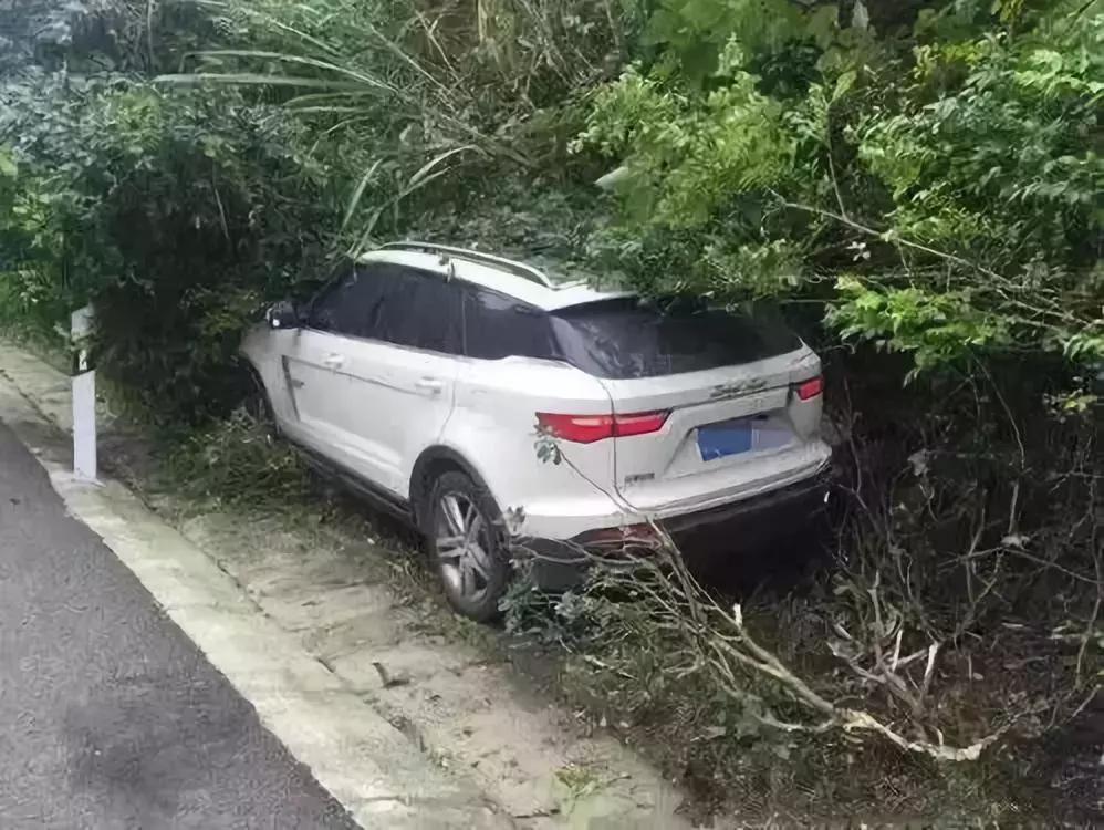 惊魂!租车租来一个“洗衣机”,方向盘突然自转停不下来,4S店竟然说……