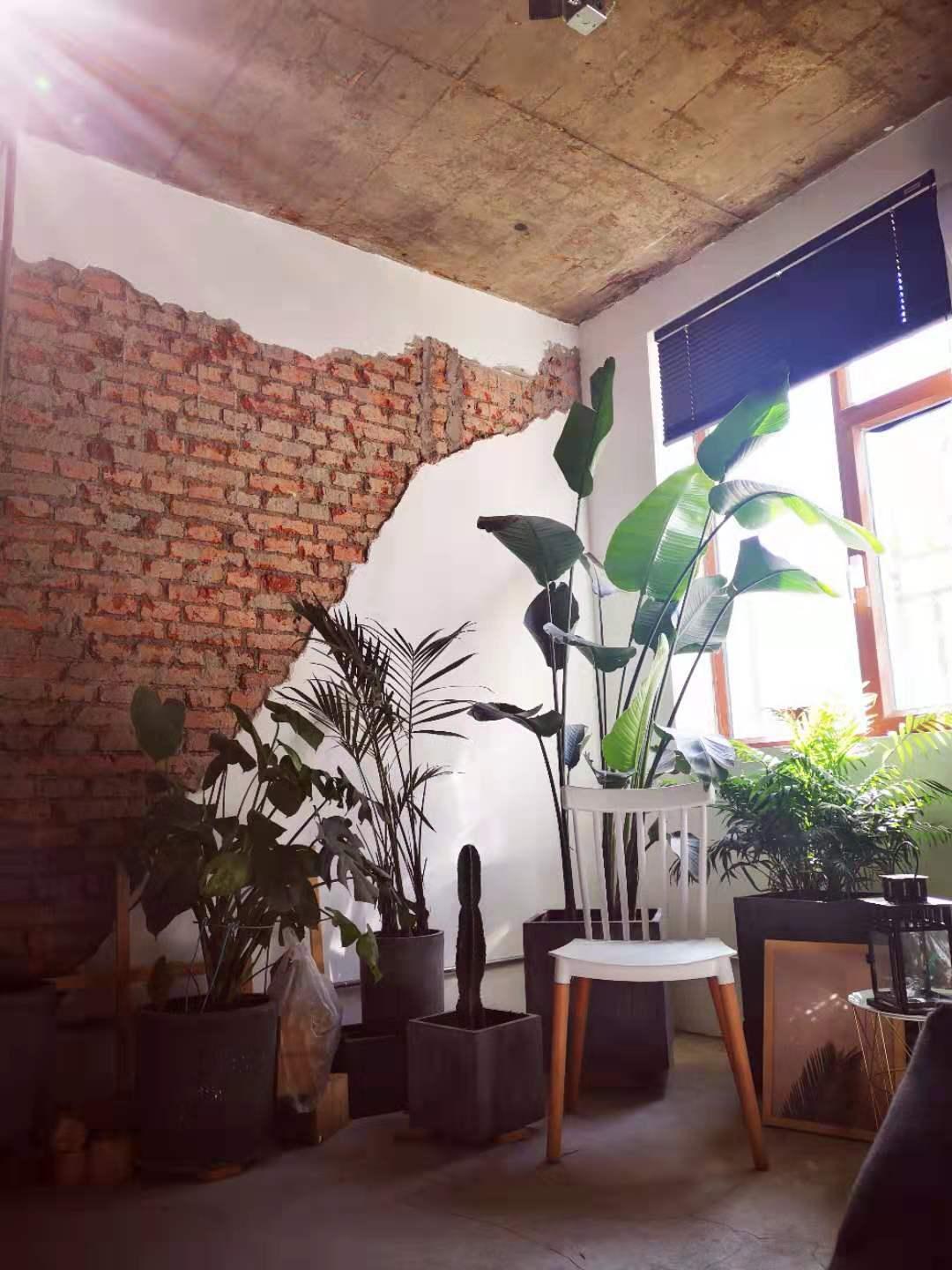 东北小鱼旅行记抵达西藏,小鱼在路上