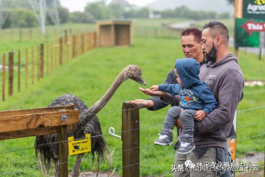 旅居新西兰,旅居新西兰有什么条件