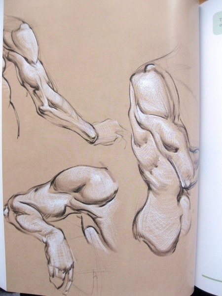 透视表现空间的基本方法,透视解剖学原理书籍