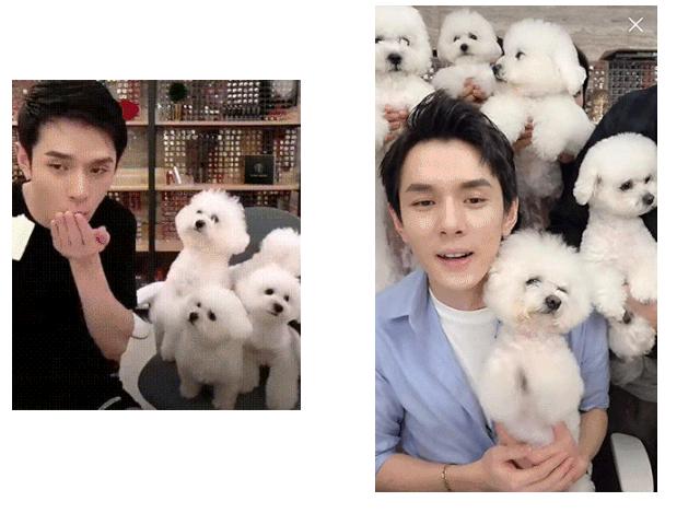 跟着李佳琦买买买，真的会翻车吗？