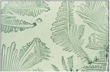 测排卵期的正确方法,测排卵期避孕靠谱吗