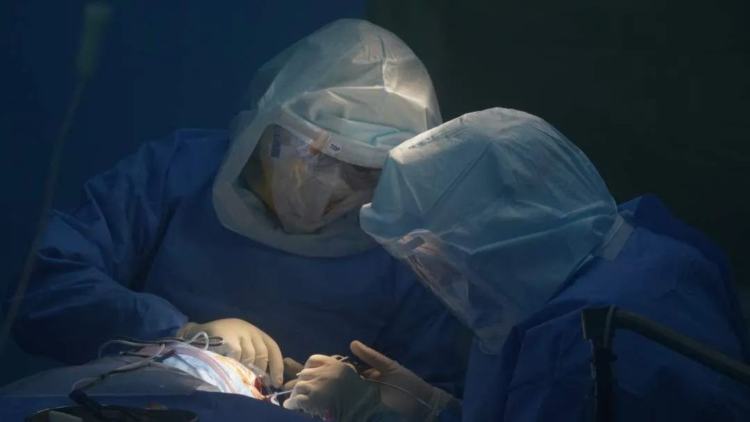 交大援鄂国家医疗队,西安交大一附院国家援鄂医疗队