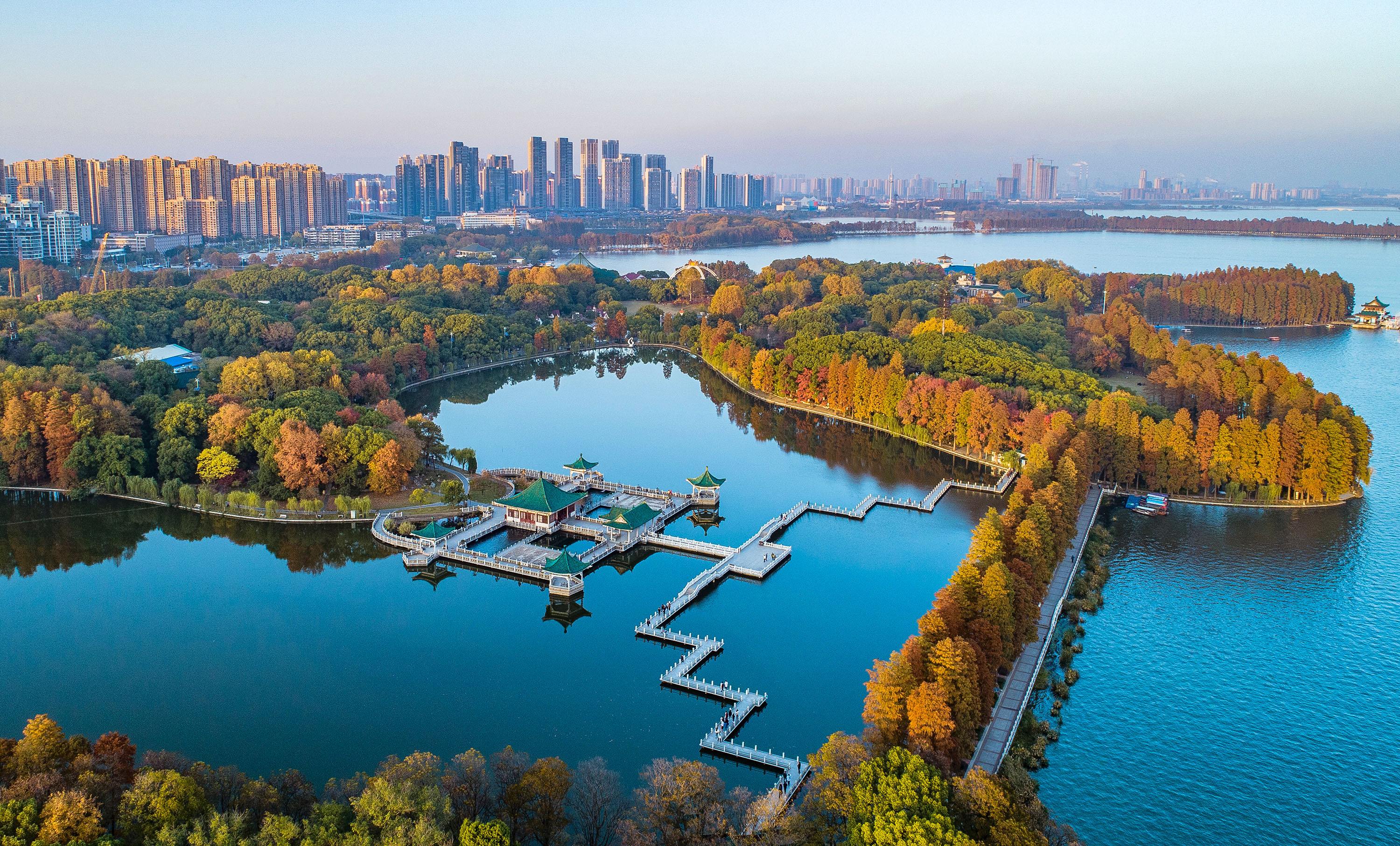 迪拜酋长辗转多国最后选择中国,迪拜酋长中国之行