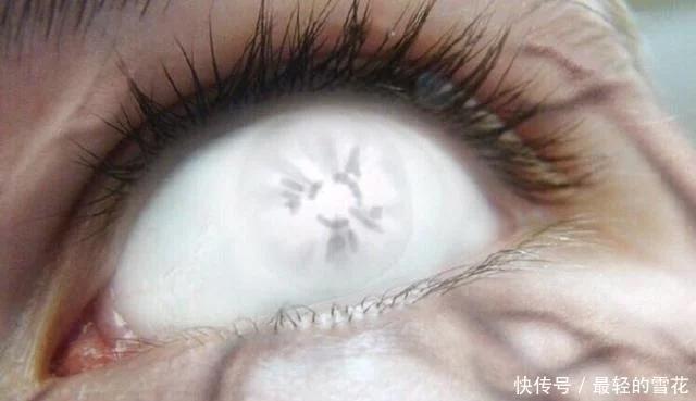 火影中最强的眼睛排行榜,在火影世界觉醒轮回眼写轮眼