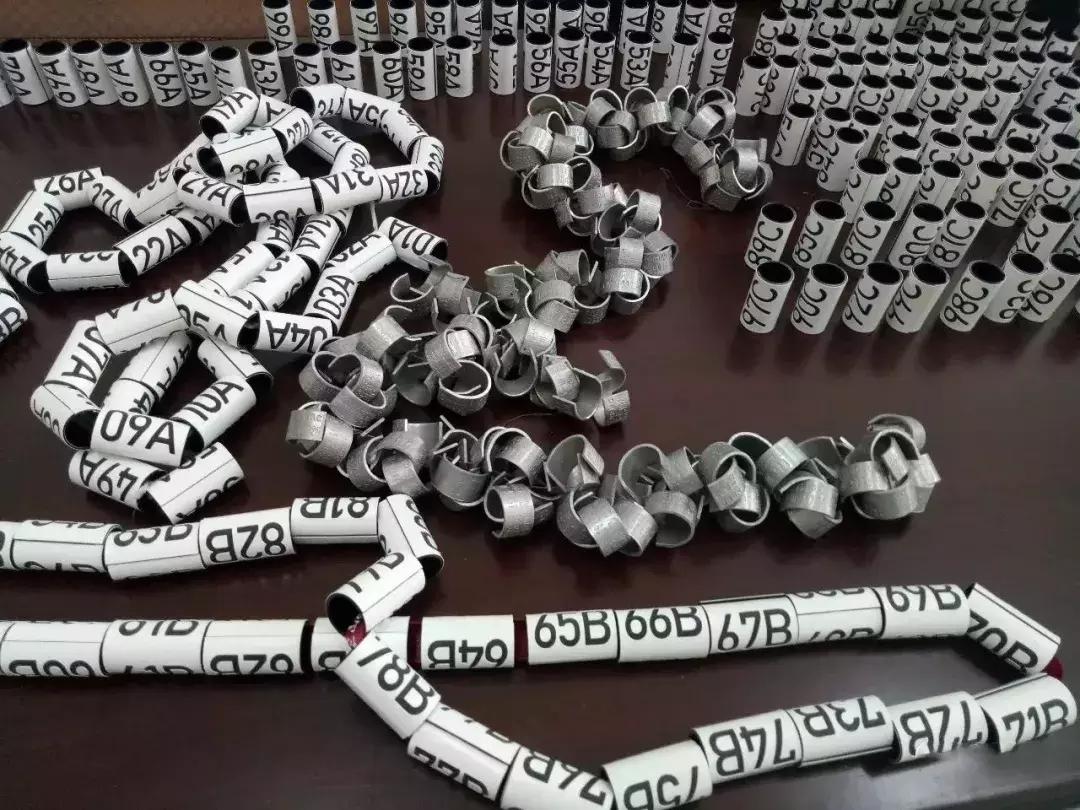 保护朱鹮,朱鹮自然保护区有利条件