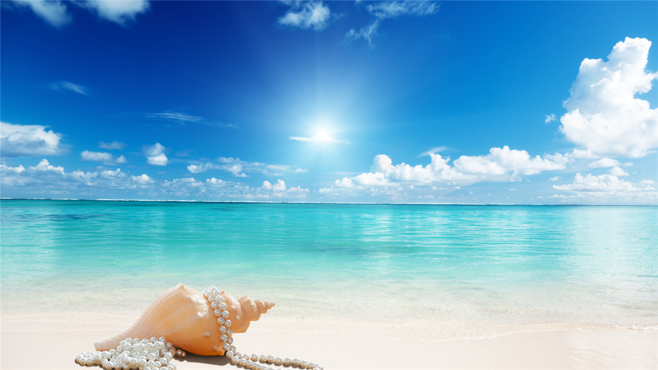 云淡风轻听琴语,静思禅慧洗俗尘