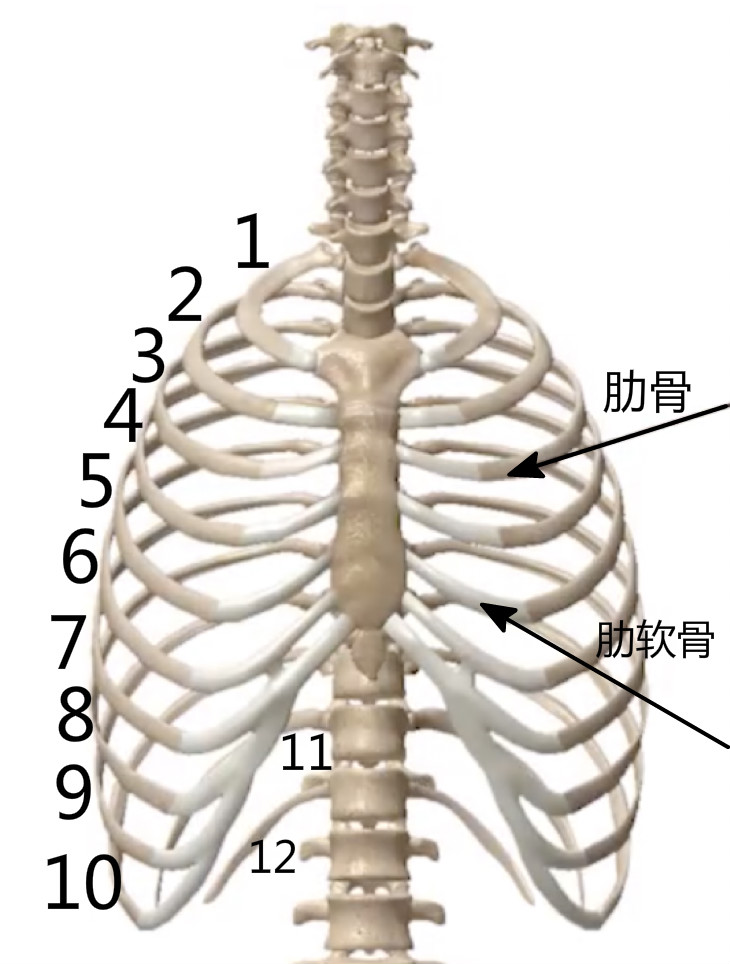 胸闷气短胸口有压迫感怎么改善,一个动作解决气短胸闷喘不上气