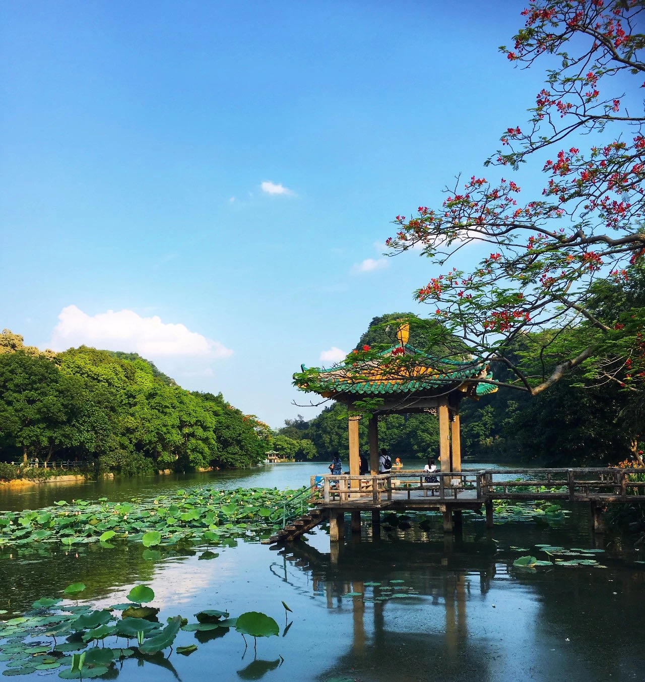 七星坠落玉湖来,乱点湖光水上栽,带你云游人间仙境七星岩。