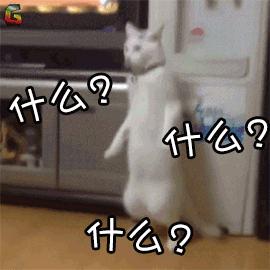 鍋囧啋閽撶閮芥湁鍝簺,閽撶鍗佸ぇ楠楀眬鎻