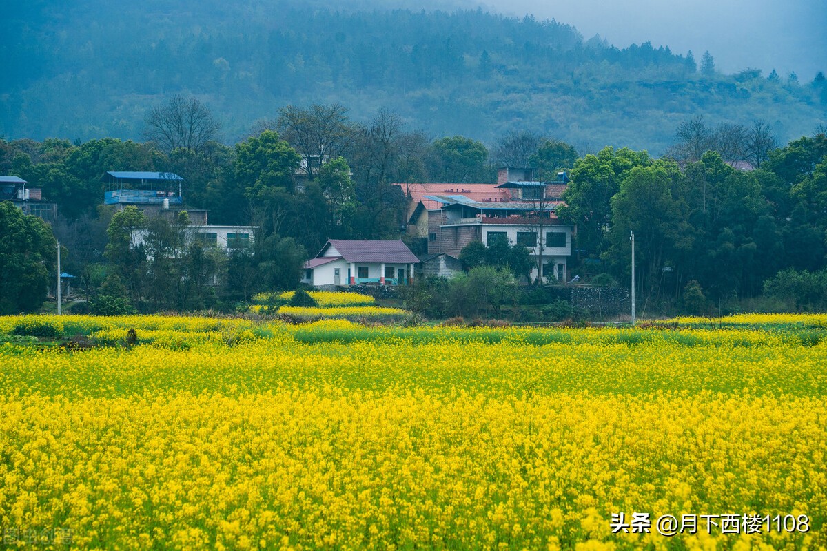 祁阳和常宁哪个潜力大,常宁市和祁阳市