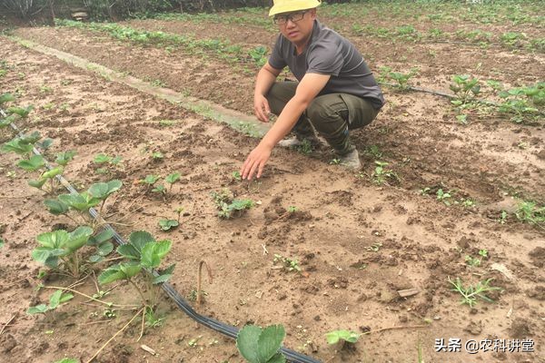 返乡创业第一人,返乡创业实现心中梦想