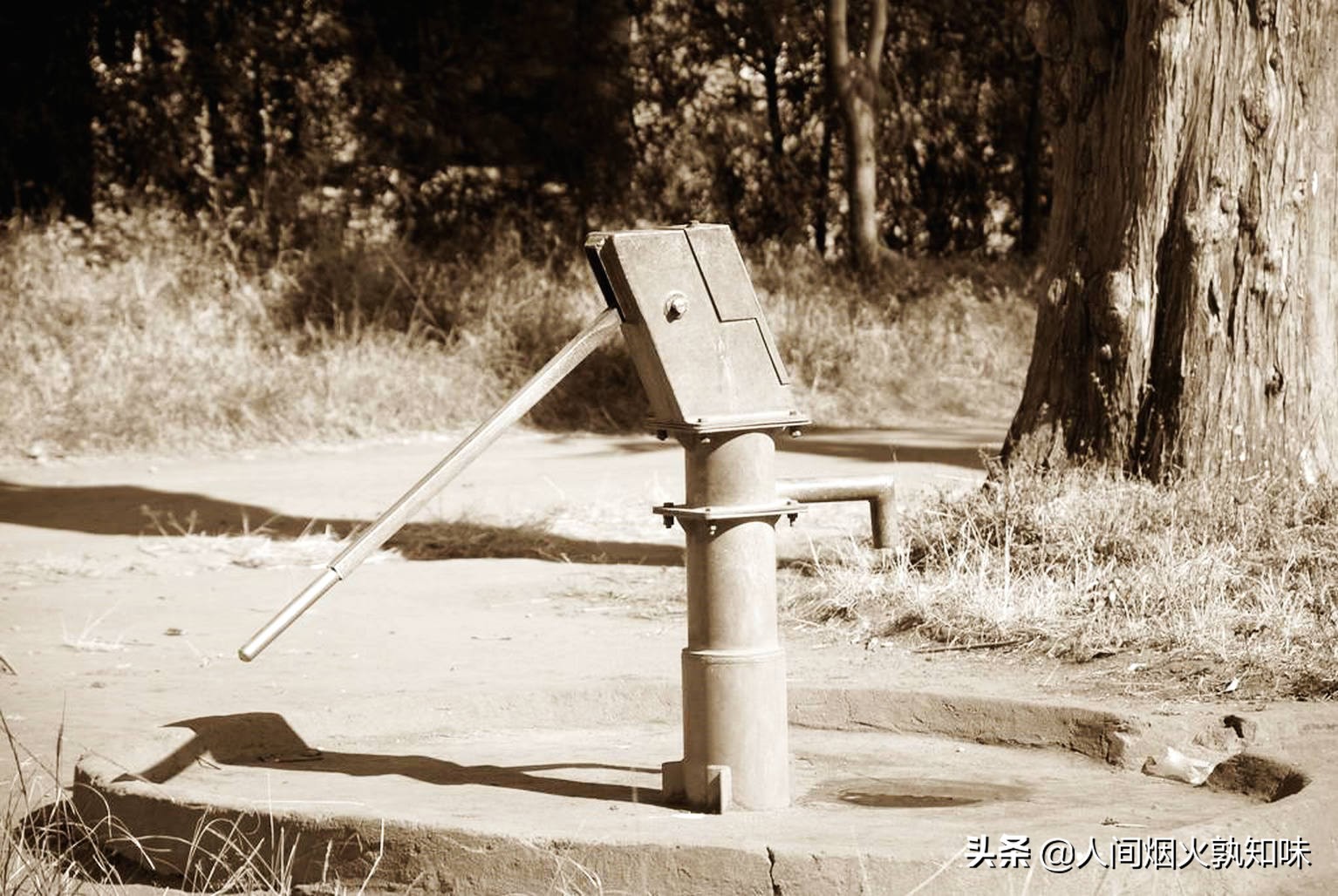 坦桑尼亚总统尼雷尔时期的参谋长,坦桑尼亚对尼雷尔的评价