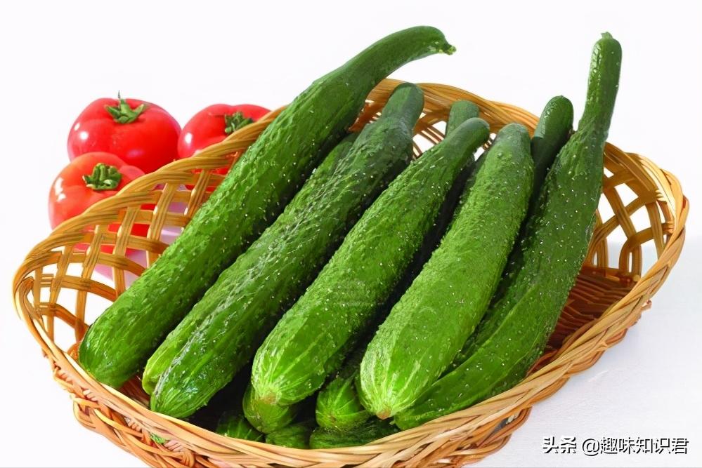 100个有趣的冷知识你知道几个,生活中那些有趣的冷知识