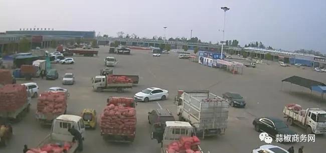 2021年11月大蒜行情预测,2021年大蒜出口行情