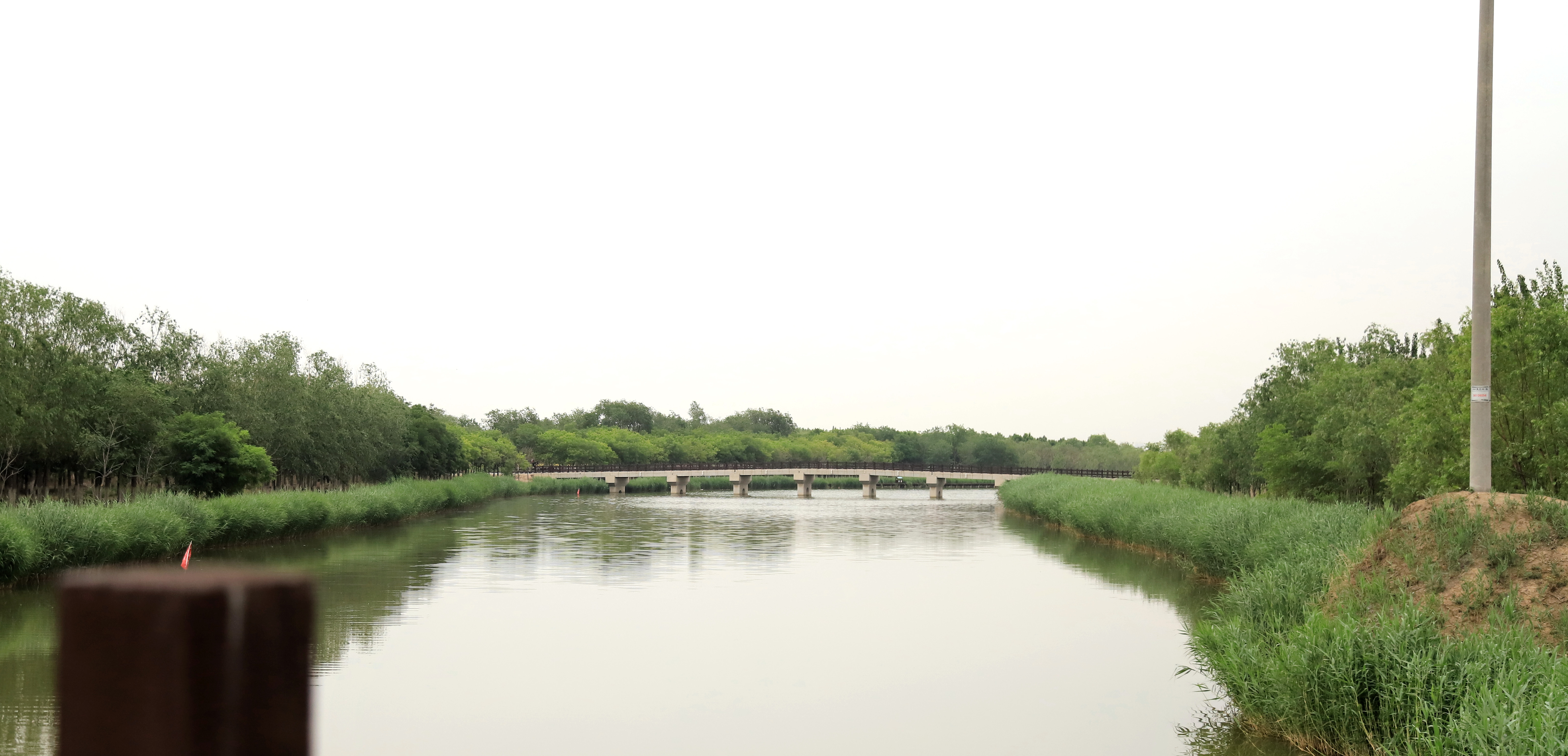 秋高气爽公园散步随拍,深秋天津的郊野公园