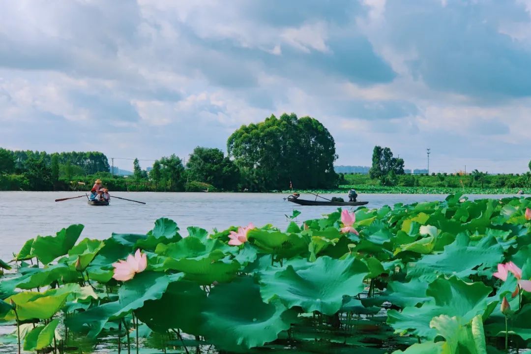 吴彦祖拍的劲爆电影,吴彦祖最新片