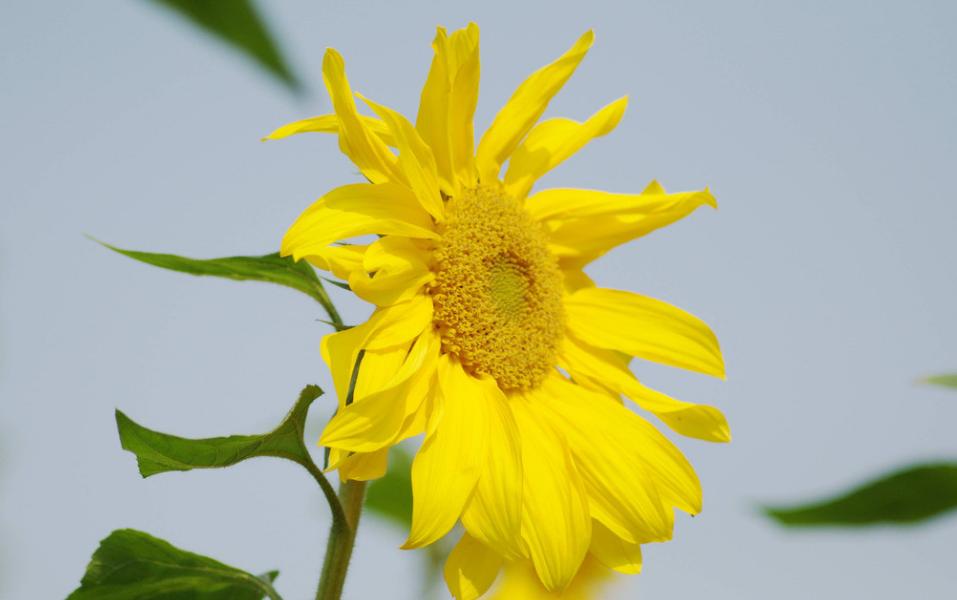 户外拍摄三脚架多高合适,为什么不能用三脚架拍摄