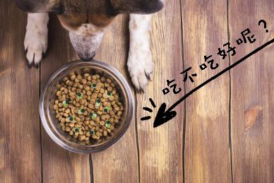 狗狗吃狗粮和不吃狗粮有什么区别,狗狗为什么不吃狗粮爱翻垃圾