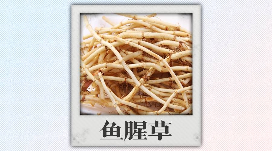 中医救人不救病怎么办呢,中医药救人