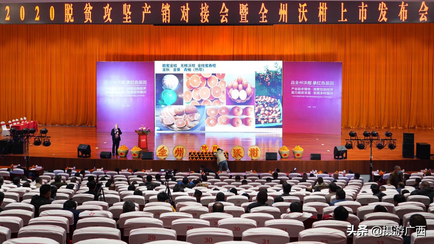 沃柑广西沃柑超甜,广西全州沃柑最新消息