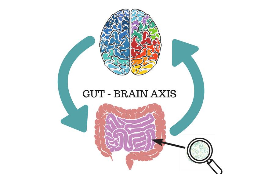 高脂肪高糖饮食影响大脑记忆,高糖食物对小孩的危害