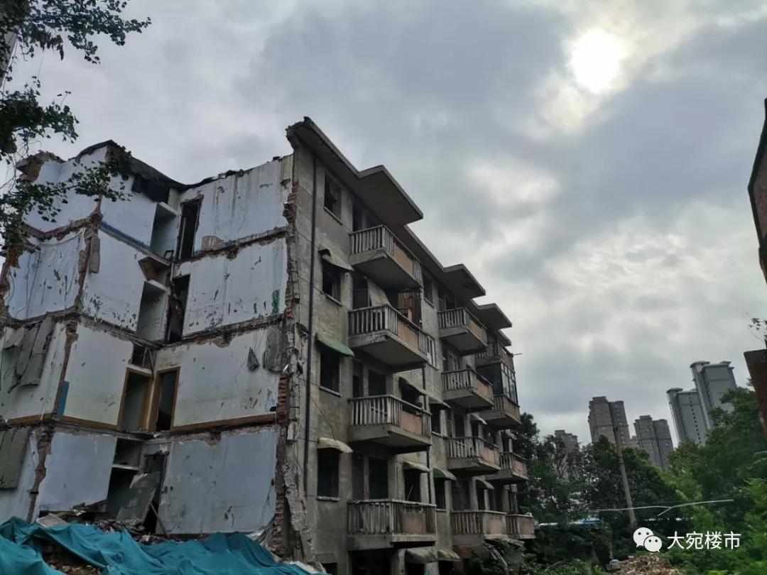 南阳市张仲景健康文化园规划,南阳张仲景文化园最新规划