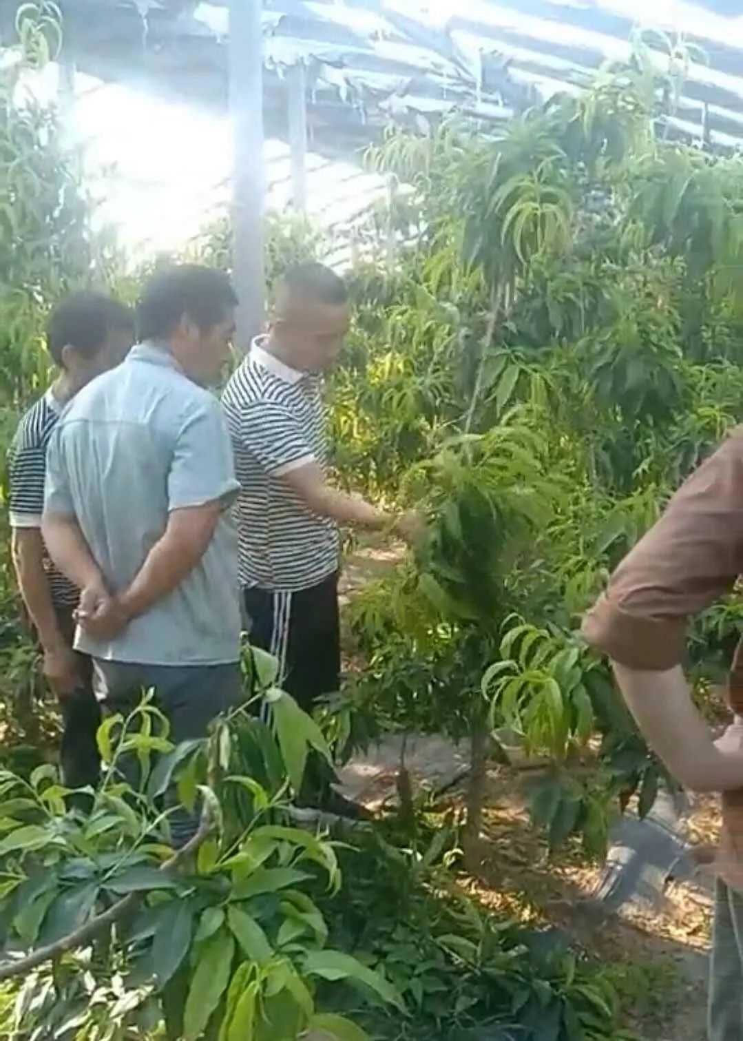 从退伍兵到群众贴心人,从退役军人到乡村致富领路人