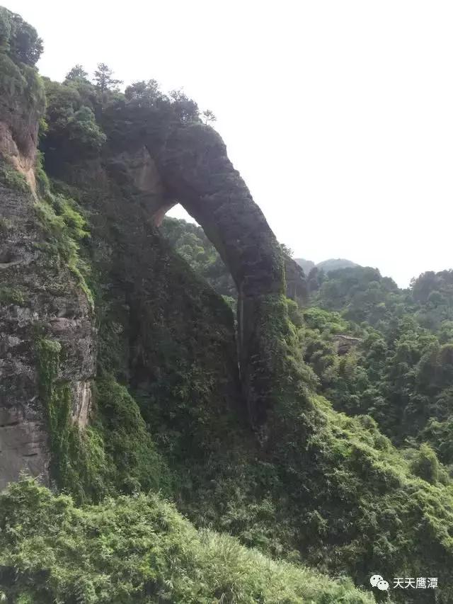 鹰潭和龙虎山道教,鹰潭龙虎山道教发源地