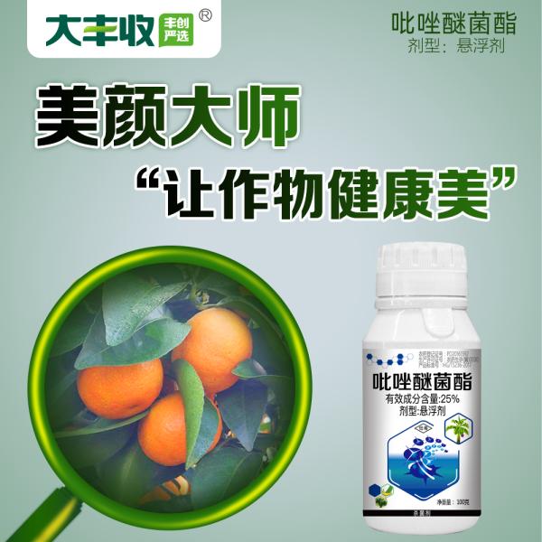 芒果幼果期出新梢怎么办,芒果挂果外皮有黑斑是什么原因