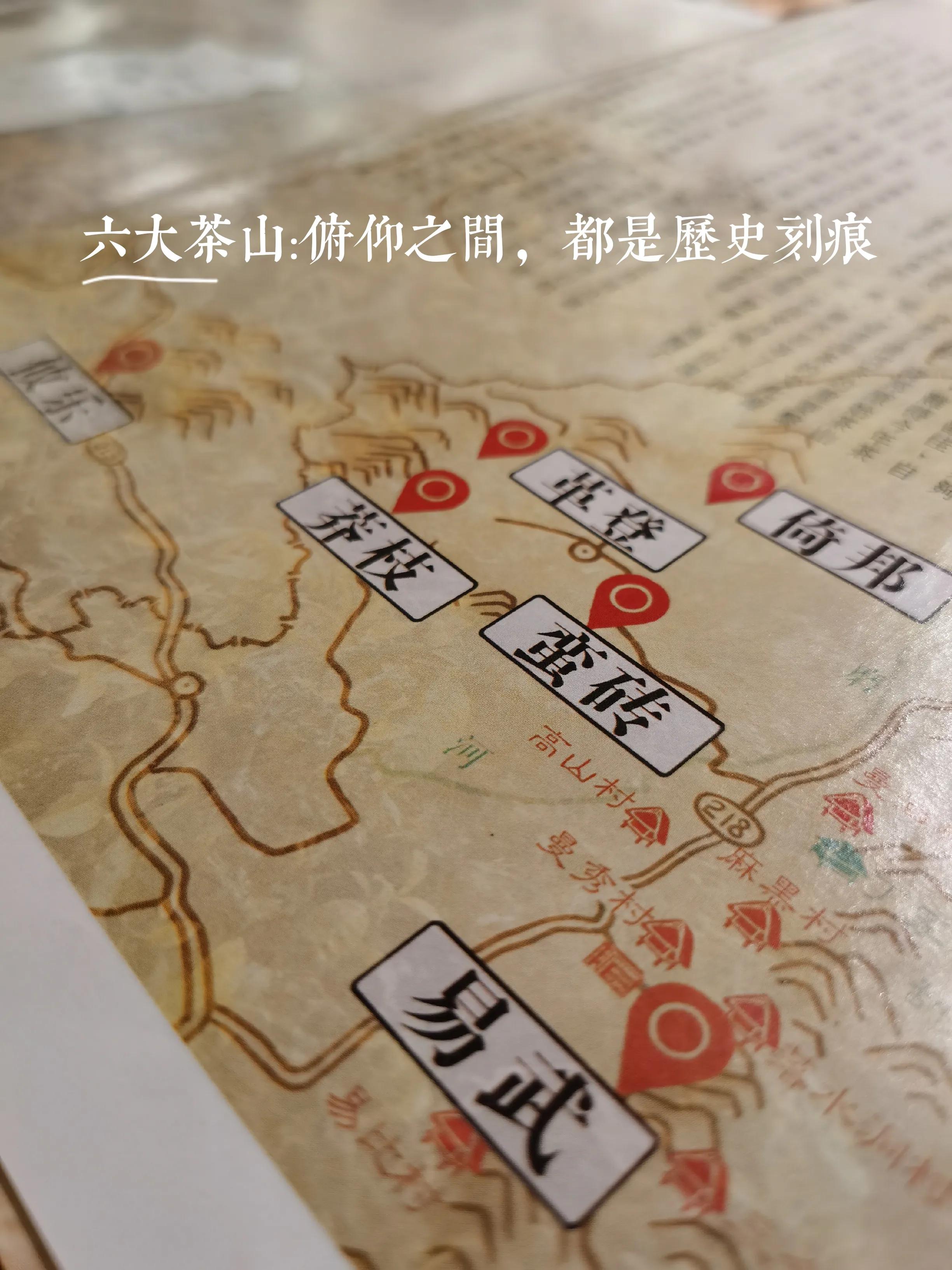 六大茶山典藏生茶,六大茶山典藏系列