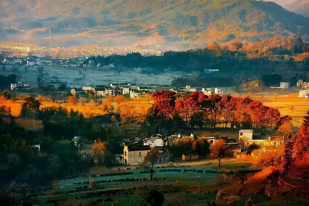 带着狗子旅行推荐,带着狗狗游新疆