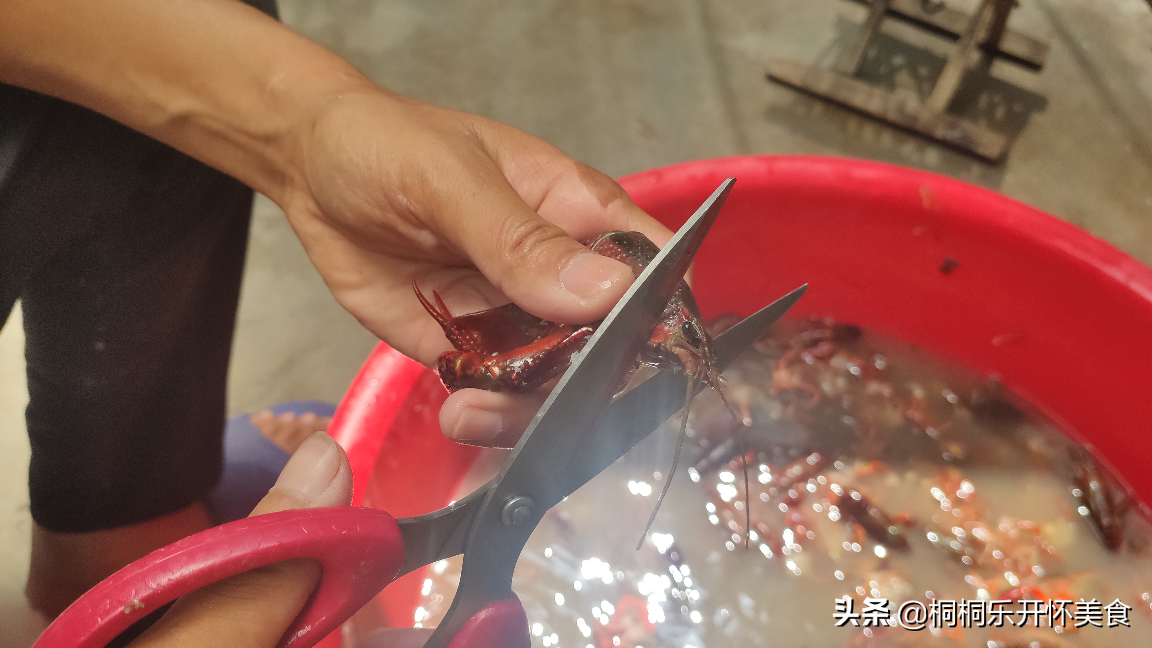 怎么样洗龙虾才洗得干净,怎样洗龙虾比较洗得干净