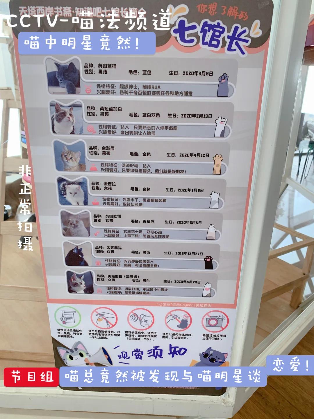 天津天塔里面都有什么,天津的宝藏地点