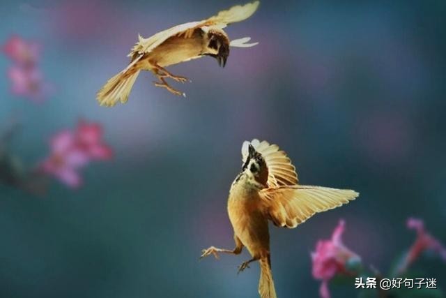 人生感悟英文短句子，句句入骨，看完你会明白很多！