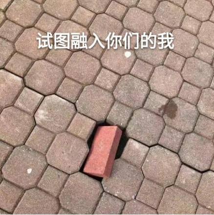 最佳戏精奖,最佳戏精奖获得者