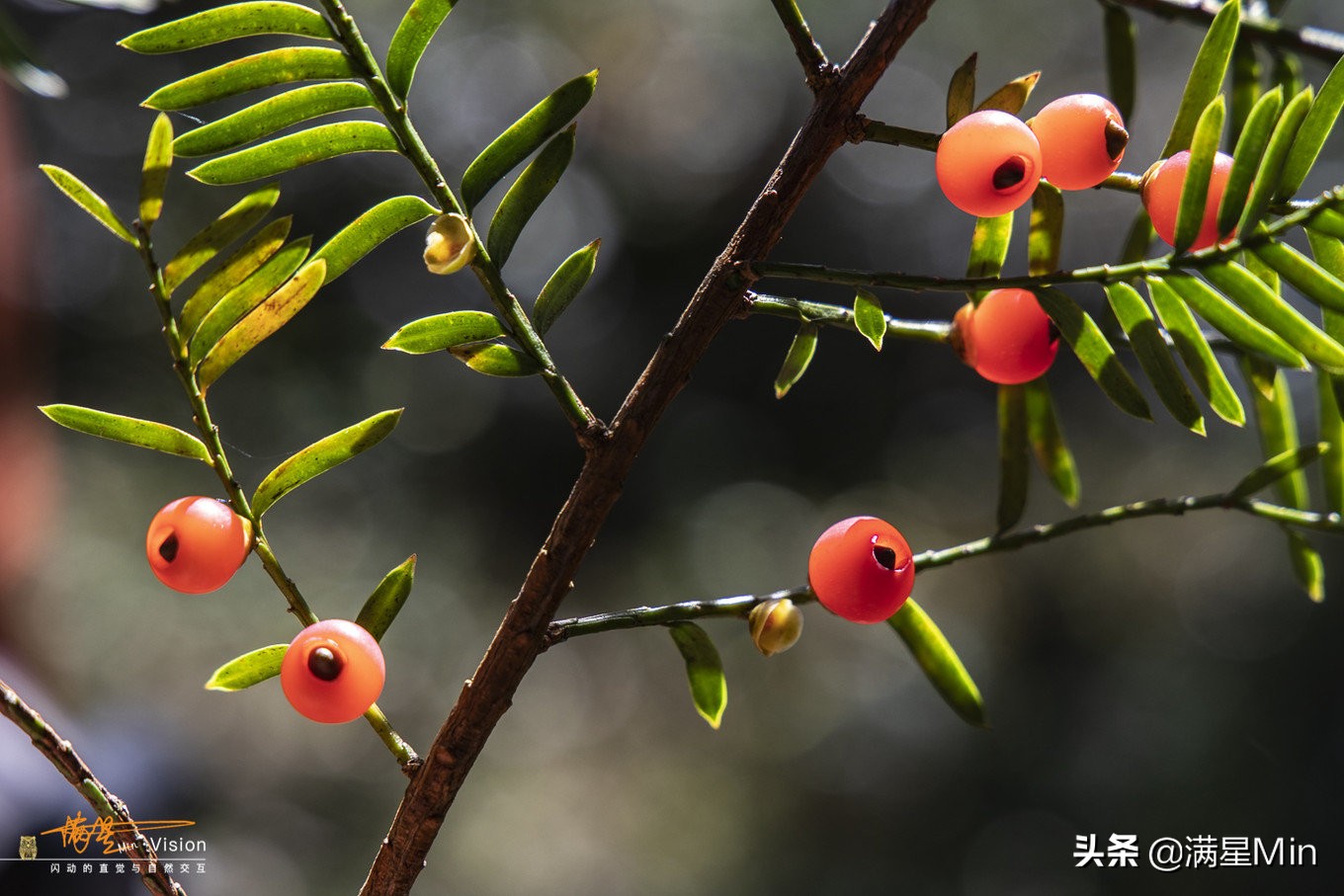 郴州民宿《那山那水》,郴州那山那水酒店