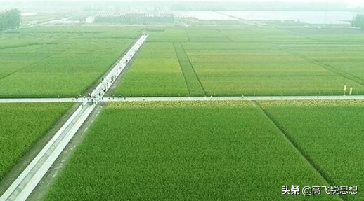 涓板ぇ闆嗗洟鏈夐檺鍏徃,涓板ぇ闆嗗洟