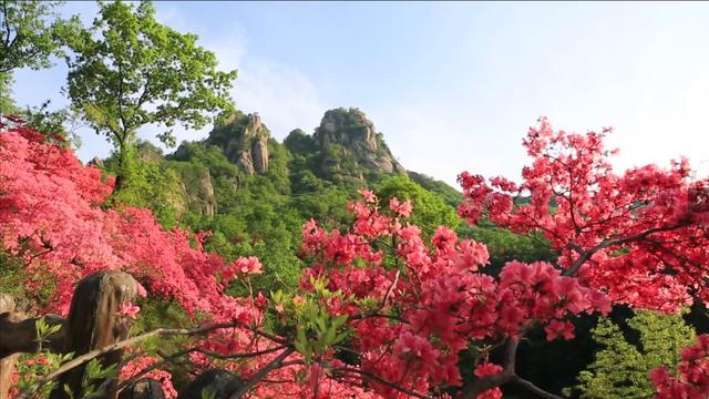 西泰山是什么样的,西泰山为啥叫西泰山
