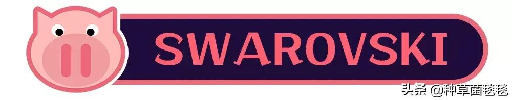 25块买啥,25块买什么东西