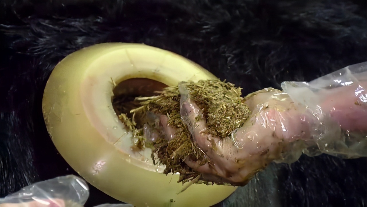 牛身上被迫打孔怎么回事,牛身上打孔