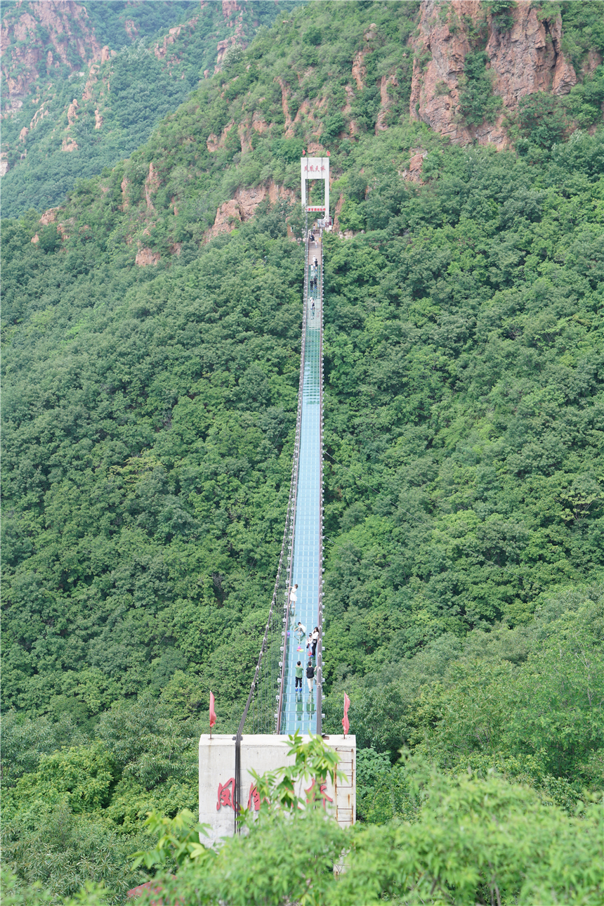 初夏河南,找寻童心,邂逅伏羲山的斜阳,一颗心萌化在云上牧场