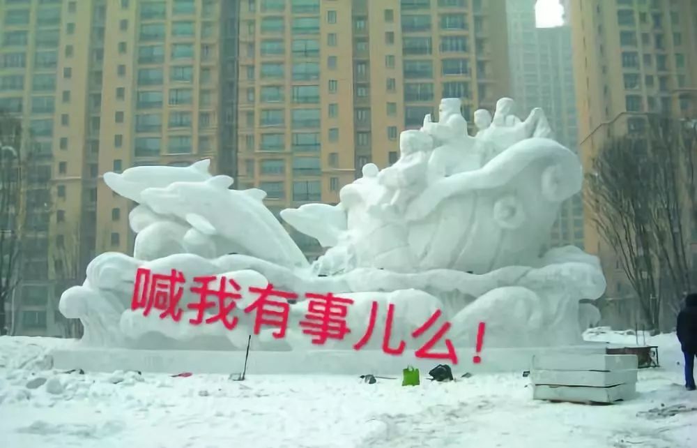 公园回应大妈路边卖雪,大妈卖雪5元一盆