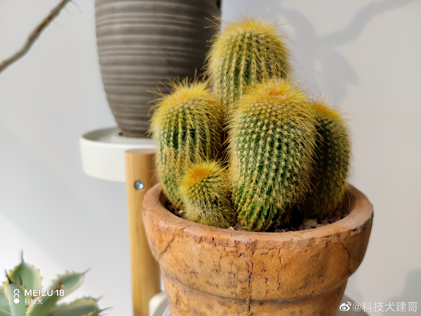 为什么魅族18要称之为小屏旗舰,魅族18spro拍照深度评测